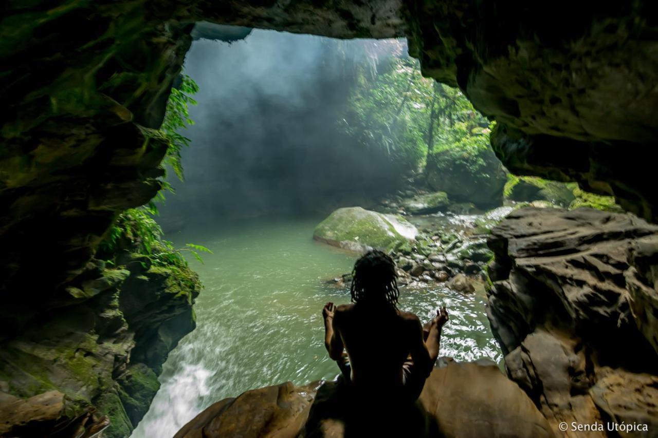 Wisdom Forest *