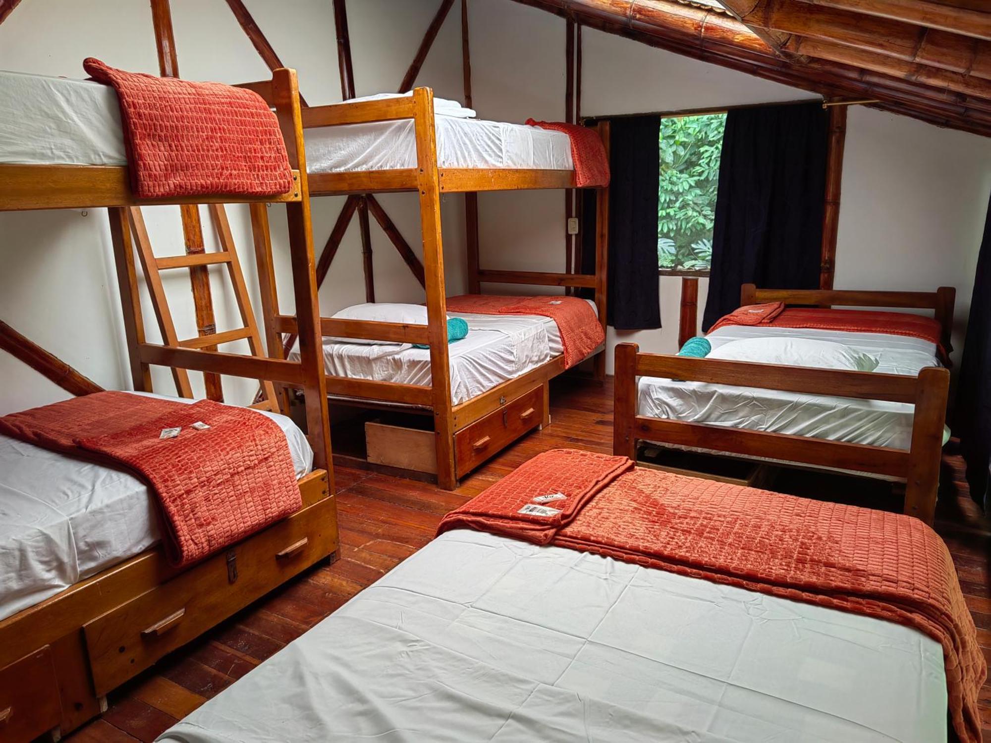Lodge Wisdom Forest *
