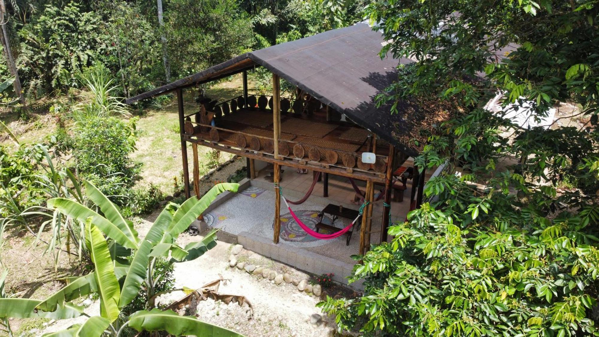 Wisdom Forest Lodge *