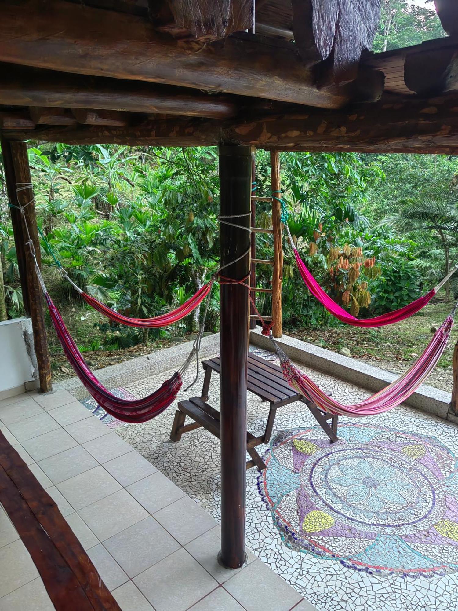 Wisdom Forest Lodge Tena